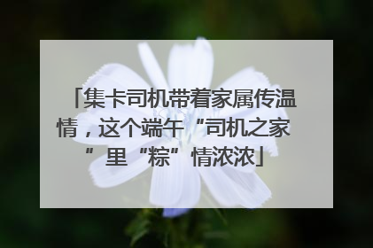 集卡司机带着家属传温情，这个端午“司机之家”里“粽”情浓浓