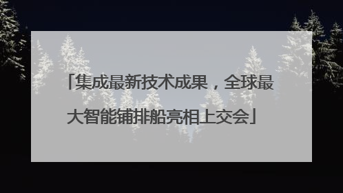集成最新技术成果，全球最大智能铺排船亮相上交会