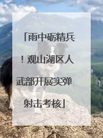 雨中砺精兵！观山湖区人武部开展实弹射击考核