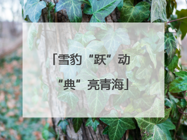 雪豹“跃”动 “典”亮青海
