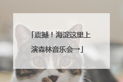 震撼！海淀这里上演森林音乐会→