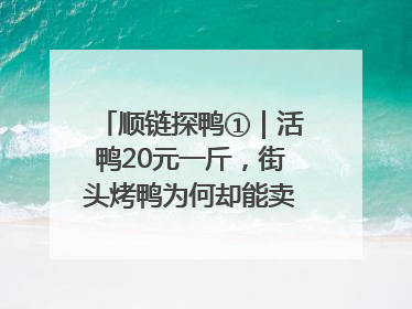 顺链探鸭①｜活鸭20元一斤，街头烤鸭为何却能卖到20多元一只