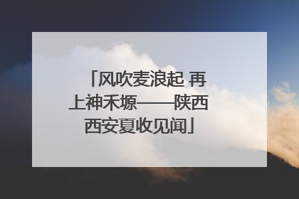 风吹麦浪起 再上神禾塬——陕西西安夏收见闻