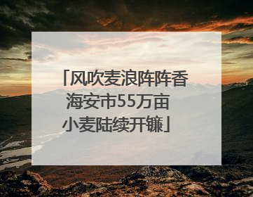 风吹麦浪阵阵香 海安市55万亩小麦陆续开镰