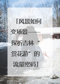 风景如何变场景——探析吉林“赏花游”的流量密码