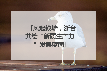 风起钱塘，浙台共绘“新质生产力”发展蓝图