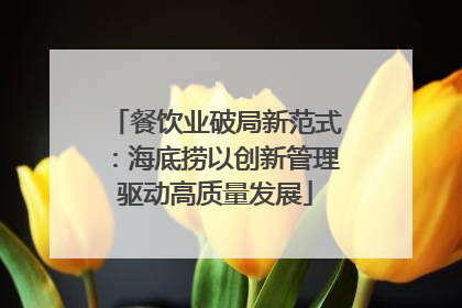 餐饮业破局新范式：海底捞以创新管理驱动高质量发展