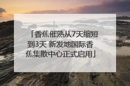 香蕉催熟从7天缩短到3天 新发地国际香蕉集散中心正式启用