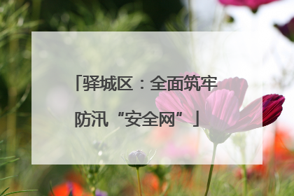 驿城区：全面筑牢防汛“安全网”