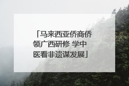 马来西亚侨商侨领广西研修 学中医看非遗谋发展