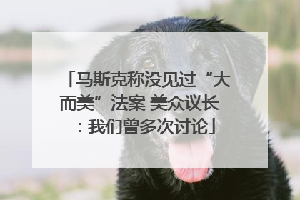 马斯克称没见过“大而美”法案 美众议长：我们曾多次讨论