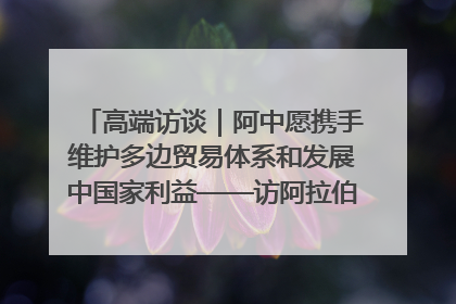 高端访谈｜阿中愿携手维护多边贸易体系和发展中国家利益——访阿拉伯议会议长亚马希