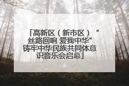 高新区（新市区）“丝路回响 爱我中华”铸牢中华民族共同体意识音乐会启幕