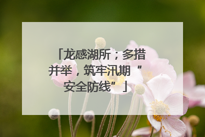龙感湖所；多措并举，筑牢汛期“安全防线”