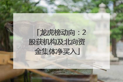 龙虎榜动向：2股获机构及北向资金集体净买入