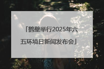 鹤壁举行2025年六五环境日新闻发布会
