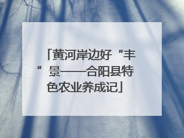 黄河岸边好“丰”景——合阳县特色农业养成记