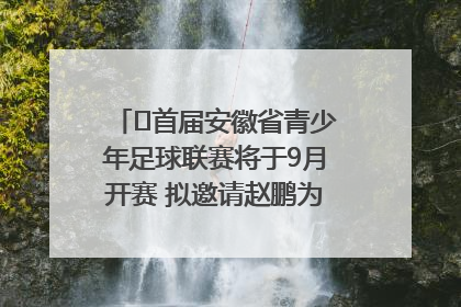 ﻿首届安徽省青少年足球联赛将于9月开赛 拟邀请赵鹏为先导赛开球