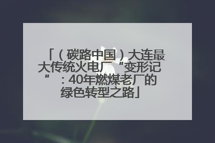 （碳路中国）大连最大传统火电厂“变形记”：40年燃煤老厂的绿色转型之路