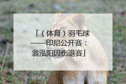 （体育）羽毛球——印尼公开赛：翁泓阳因伤退赛