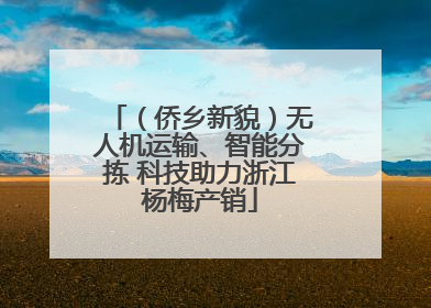 (侨乡新貌)无人机运输、智能分拣 科技助力浙江杨梅产销