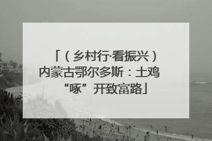 （乡村行·看振兴）内蒙古鄂尔多斯：土鸡“啄”开致富路