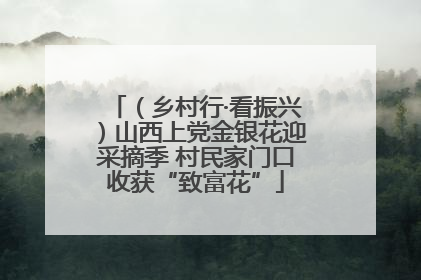 （乡村行·看振兴）山西上党金银花迎采摘季 村民家门口收获“致富花”