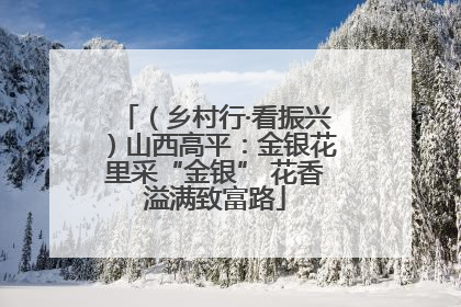 （乡村行·看振兴）山西高平：金银花里采“金银” 花香溢满致富路
