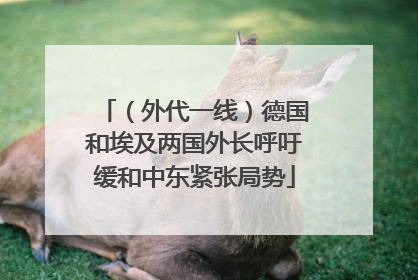 （外代一线）德国和埃及两国外长呼吁缓和中东紧张局势