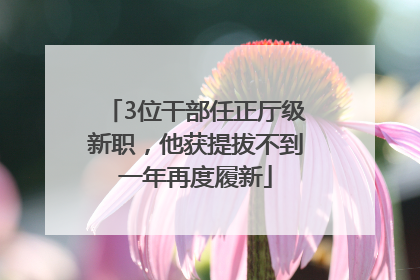3位干部任正厅级新职，他获提拔不到一年再度履新