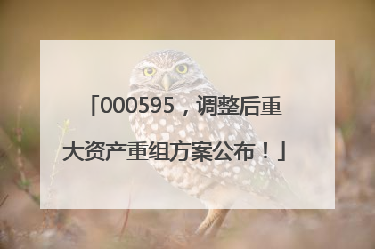000595，调整后重大资产重组方案公布！