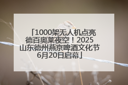 1000架无人机点亮德百奥莱夜空！2025山东德州燕京啤酒文化节6月20日启幕
