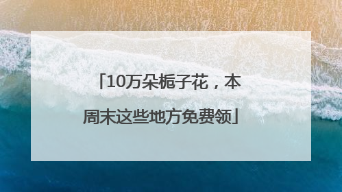 10万朵栀子花，本周末这些地方免费领