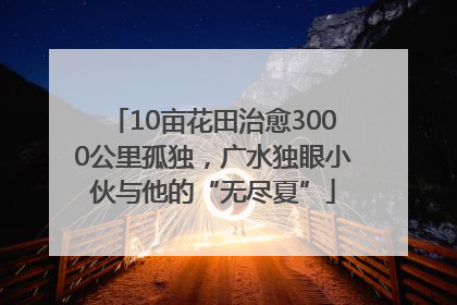 10亩花田治愈3000公里孤独，广水独眼小伙与他的“无尽夏”