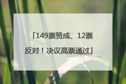 149票赞成、12票反对！决议高票通过