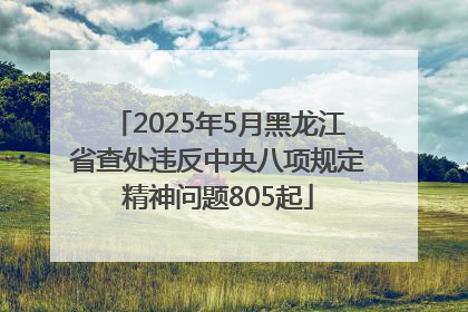 2025年5月黑龙江省查处违反中央八项规定精神问题805起