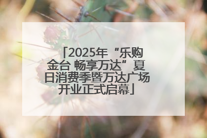 2025年“乐购金台 畅享万达”夏日消费季暨万达广场开业正式启幕