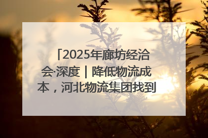 2025年廊坊经洽会·深度｜降低物流成本，河北物流集团找到一把“金钥匙”