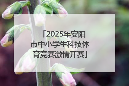 2025年安阳市中小学生科技体育竞赛激情开赛