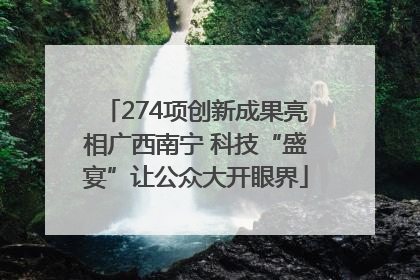 274项创新成果亮相广西南宁 科技“盛宴”让公众大开眼界