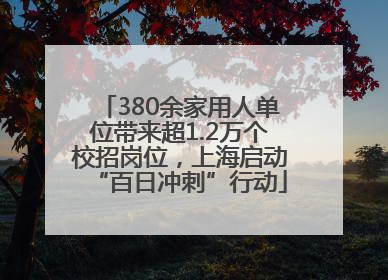 380余家用人单位带来超1.2万个校招岗位，上海启动“百日冲刺”行动