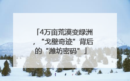 4万亩荒漠变绿洲，“戈壁奇迹”背后的“潍坊密码”