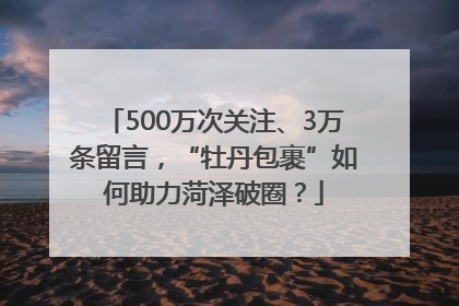 500万次关注、3万条留言，“牡丹包裹”如何助力菏泽破圈？