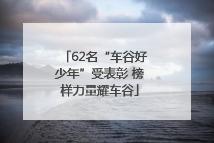62名“车谷好少年”受表彰 榜样力量耀车谷