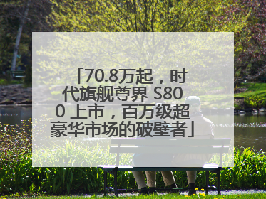 70.8万起，时代旗舰尊界 S800 上市，百万级超豪华市场的破壁者