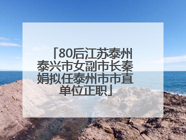 80后江苏泰州泰兴市女副市长秦娟拟任泰州市市直单位正职
