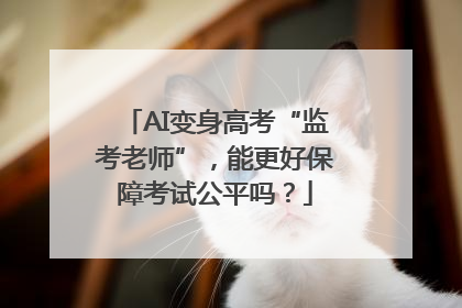 AI变身高考“监考老师”，能更好保障考试公平吗？
