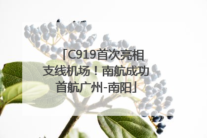 C919首次亮相支线机场！南航成功首航广州-南阳