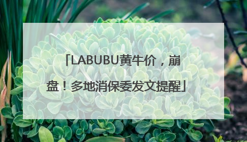 LABUBU黄牛价，崩盘！多地消保委发文提醒