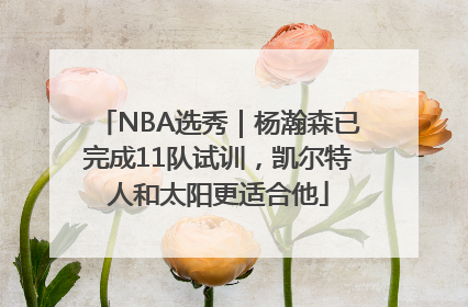 NBA选秀｜杨瀚森已完成11队试训，凯尔特人和太阳更适合他